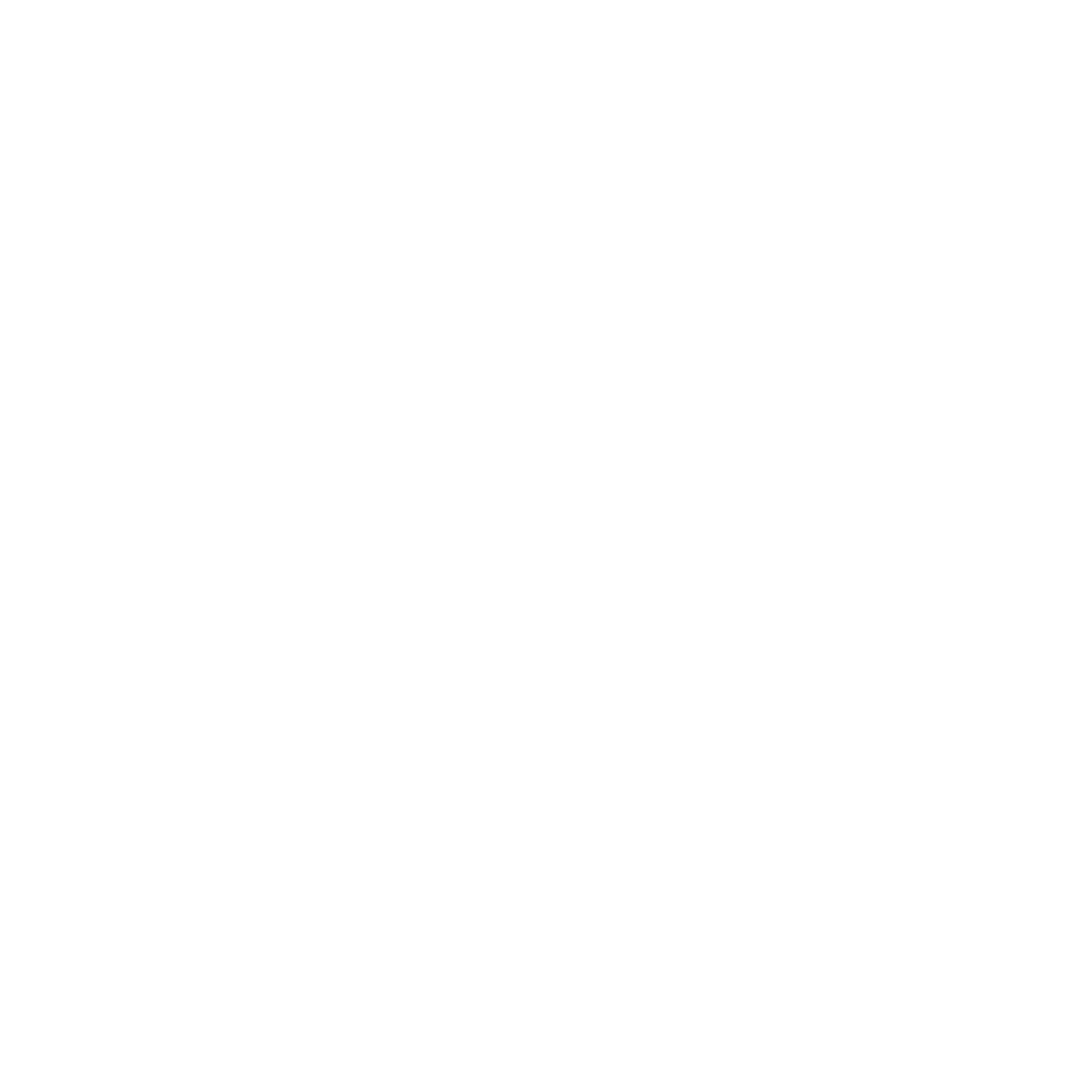 Wordmark — white